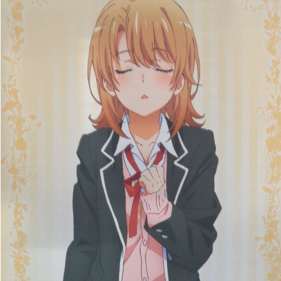 やはり俺の青春ラブコメはまちがっている。完 ほぼ等身大タペストリー