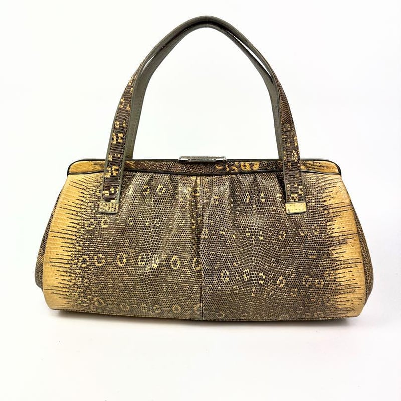 希少品入手困難 リザードトカゲ、リングマークトカゲ アニマル 革