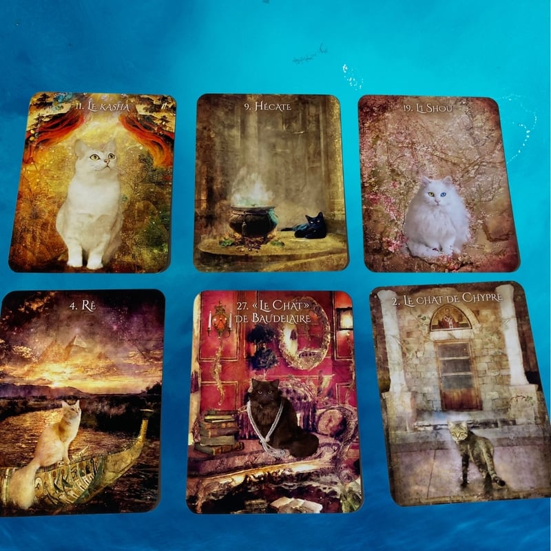 猫のイニシエーションオラクルカード｜正規輸入品 | タロクル｜TaroCle