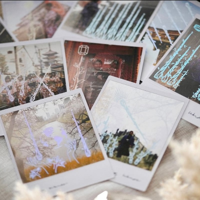 ワイルドランドタロットカード｜作者直輸入・希少デッキ | タロクル