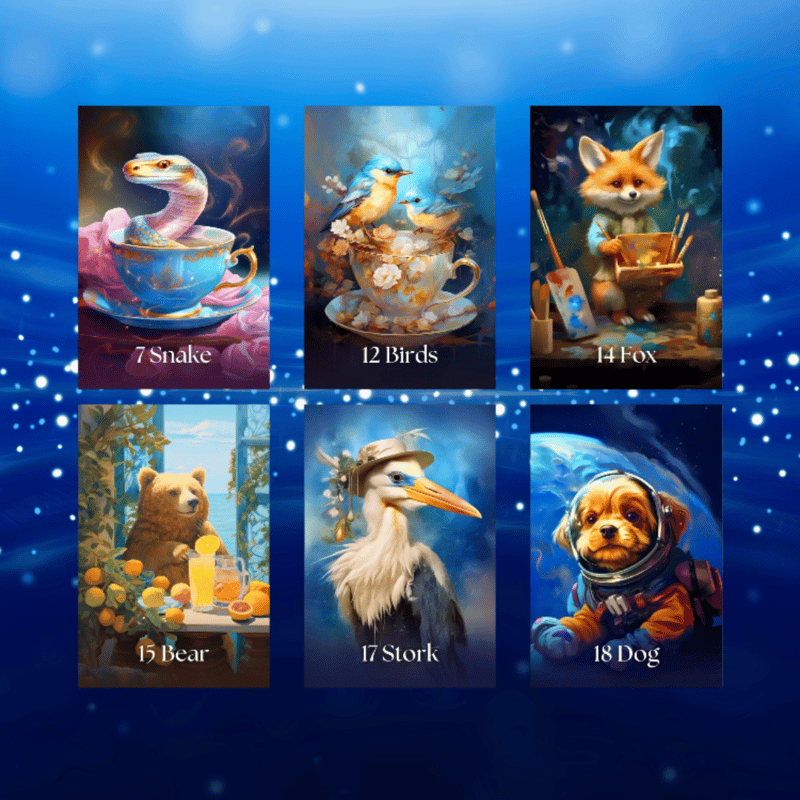 ソフィールノルマンカード｜作者直輸入・希少デッキ | タロクル