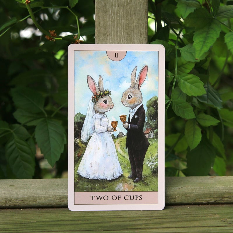 ラビットタロットカード (Rabbit Tarot) ｜作者直輸入・希少デッキ