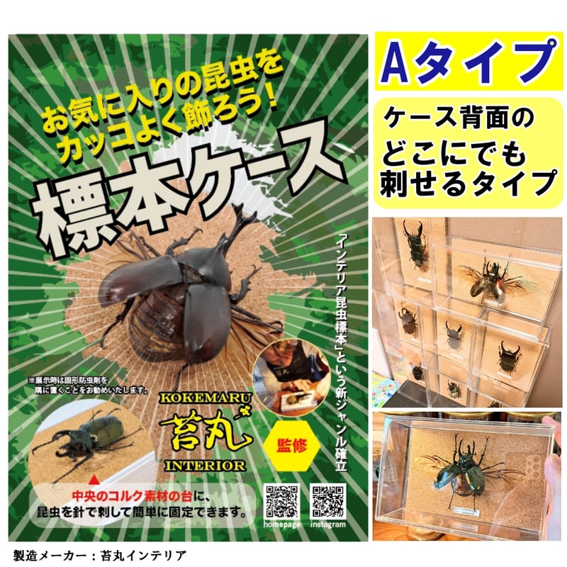 標本ケース】お手軽標本ケース(どこでも刺して固定できるタイプ) | 苔