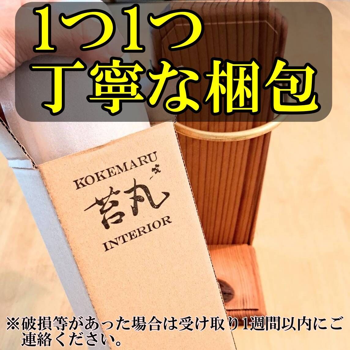 昆虫標本】サタンオオカブト♂87mm飛翔 透明ケース展示 | 苔丸