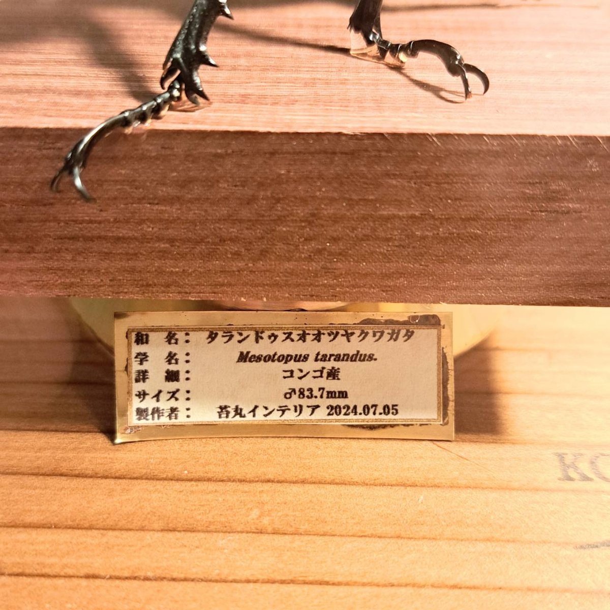 fit=scale-down,w=1200