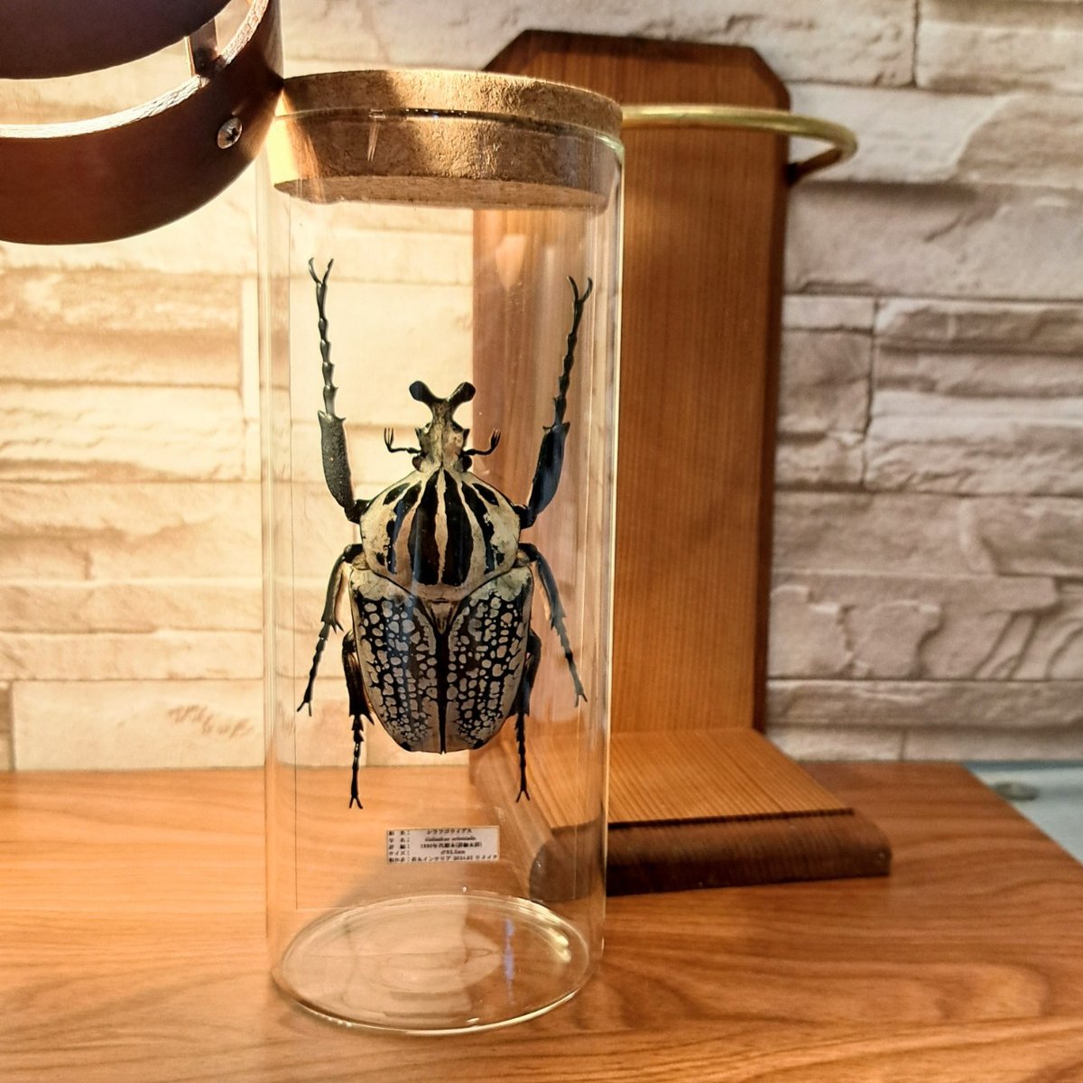 fit=scale-down,w=1200