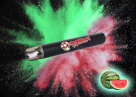 がーどまんマッシュルームシーシャ｜MUSHROOM Online Store