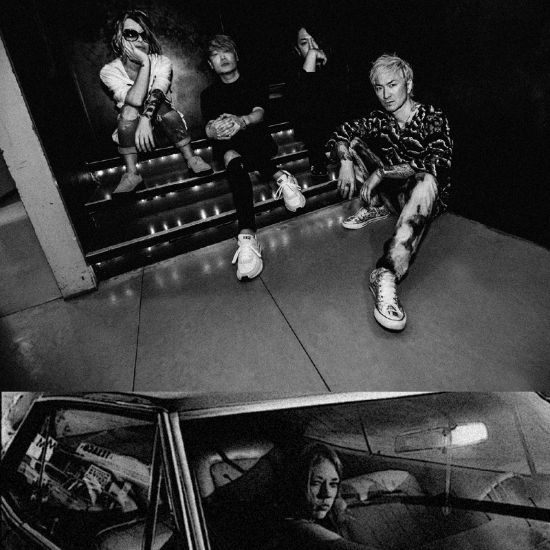 THE HATE HONEY - Wasted Youth Diaries [CD] | fo