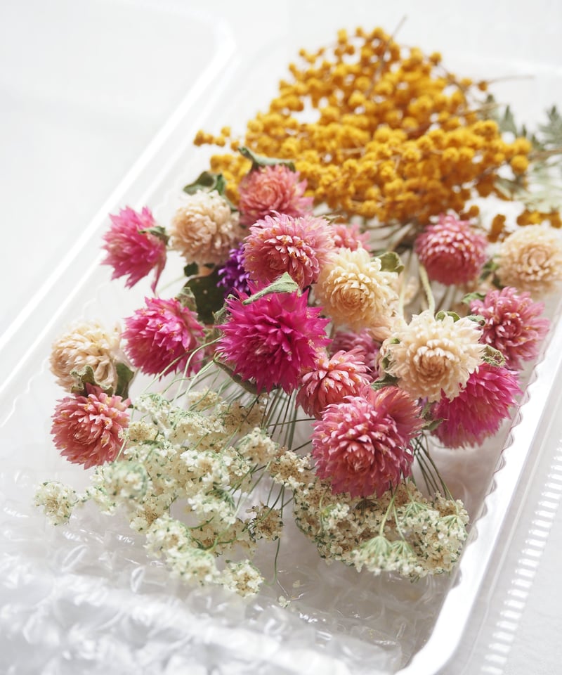 ドライフラワーの花材セット | zelkova's aroma garden