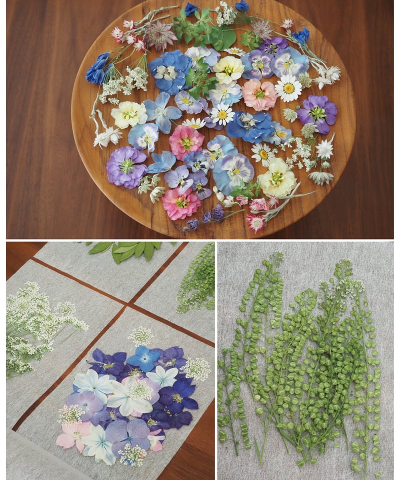 moon様 専用】ドライフラワー&押し花 花材セット | zelkova's aroma g