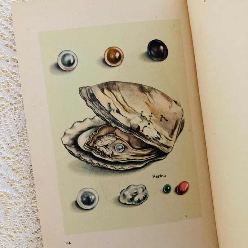 Das kleine Buch der Edelsteine 小さな鉱物の本 (インゼル文庫N