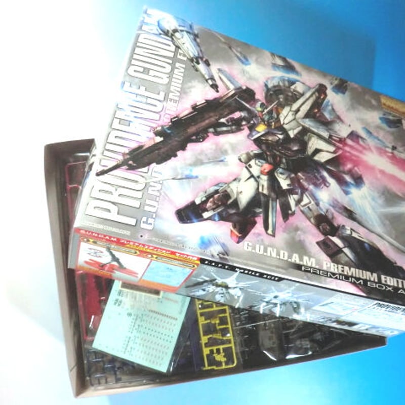 ガンダムSEED BANDAI MG 1/100 プロヴィデンスガンダム G.U.N.D.A.
