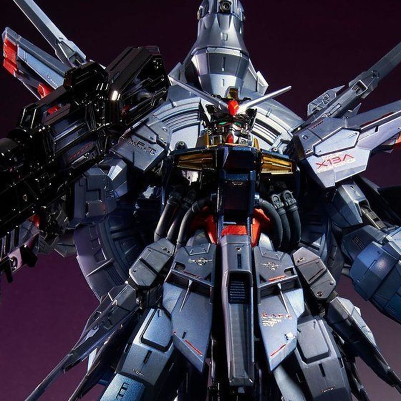 ガンダムSEED プレミアムバンダイ限定品 MG 1/100 プロヴィデンス
