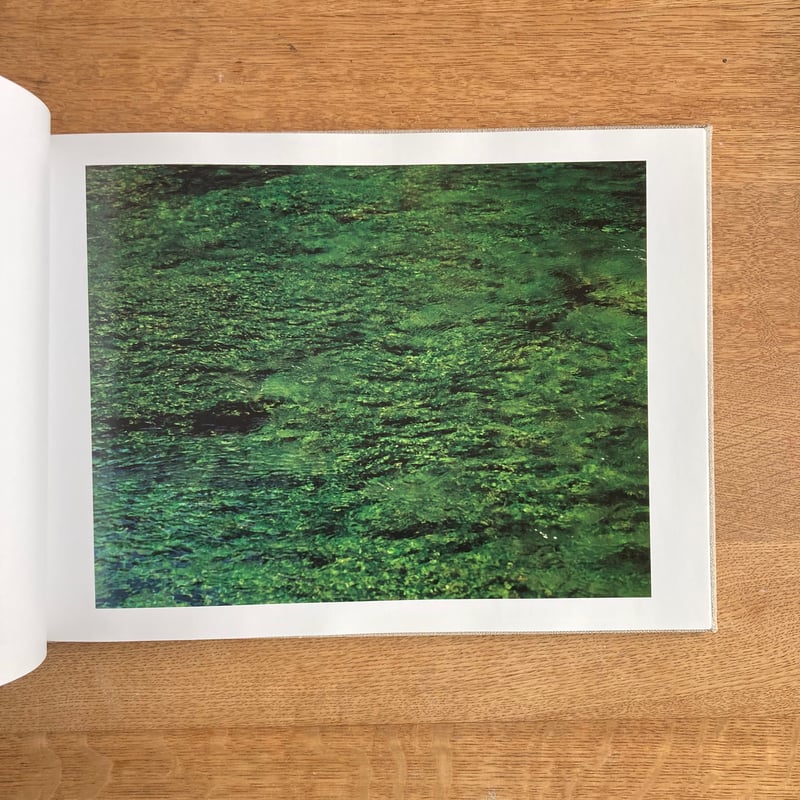 知覚の感光板 鈴木理策 Risaku Suzuki 初版 直筆サイン入り 知覚の感光