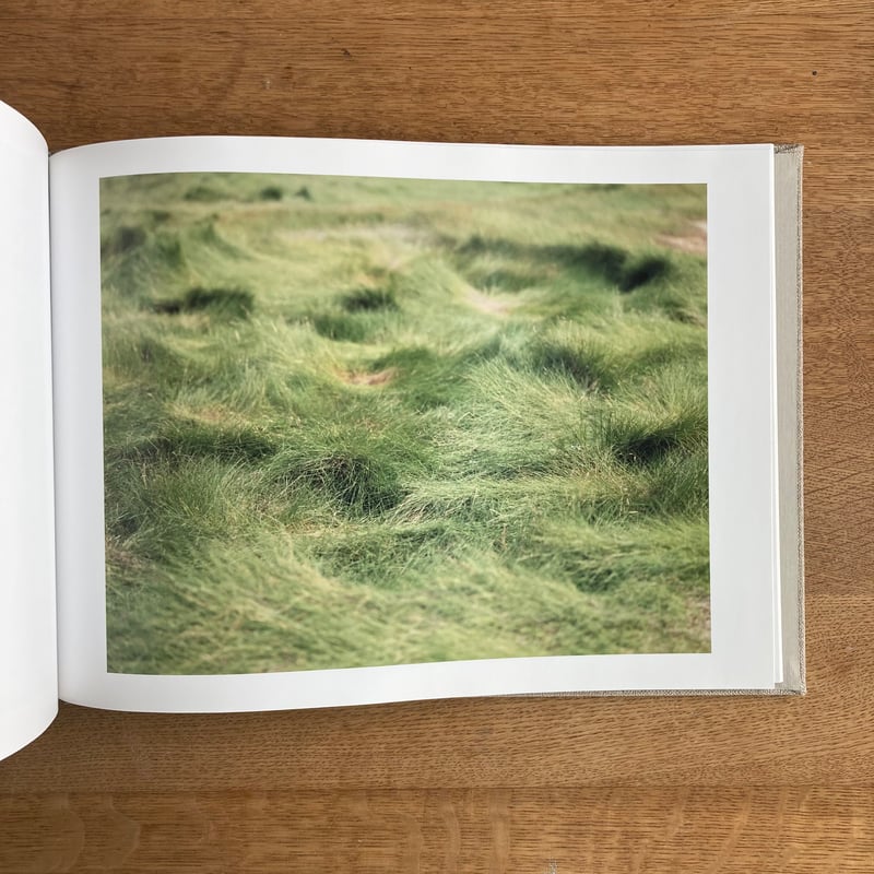 知覚の感光板 鈴木理策 Risaku Suzuki 初版 直筆サイン入り 知覚の感光