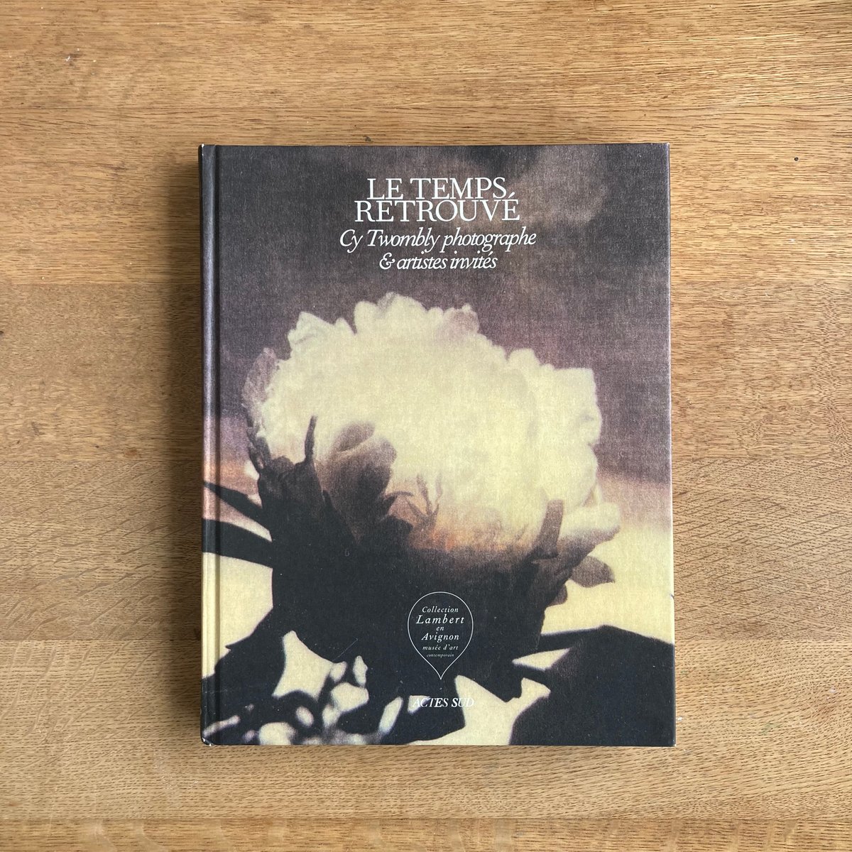 LE TEMPS RETROUVE｜Cy Twombly photographe & arti