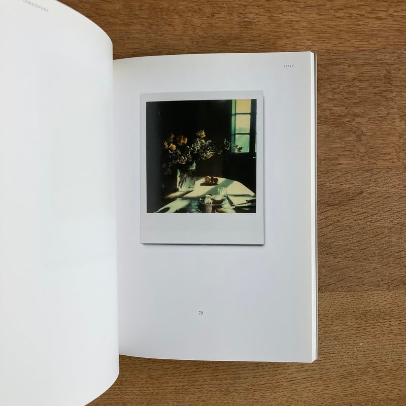 Tarkovsky Polaroids｜Instant Light | WHITEGREEN