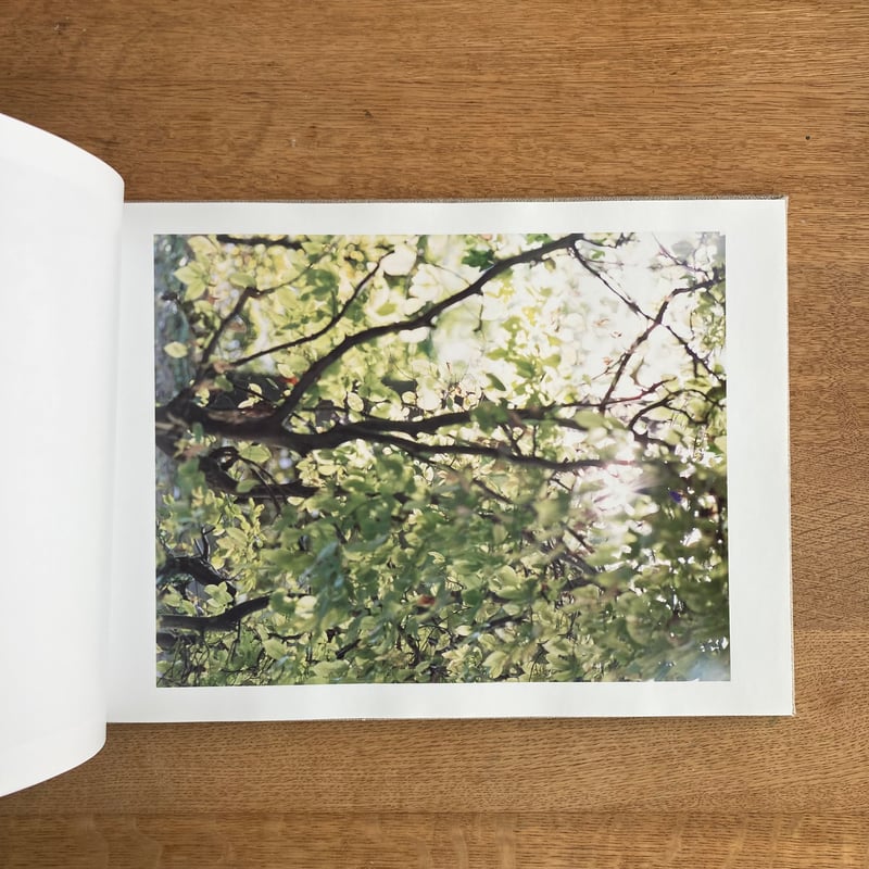 鈴木理策｜知覚の感光板 | WHITEGREEN GALLERY