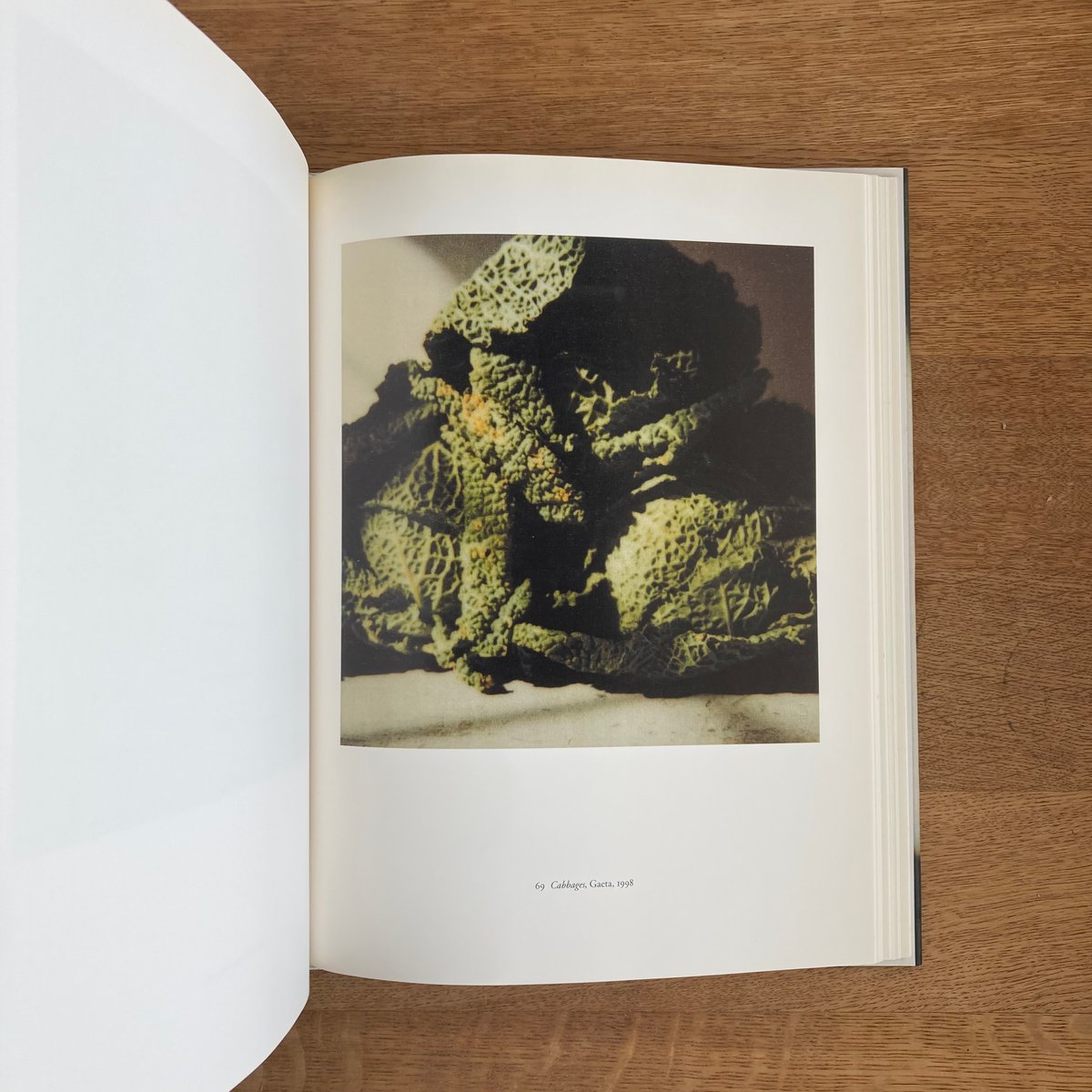 Cy Twombly Photographs 2016年初版 頁付け無し HC Cy Twombly