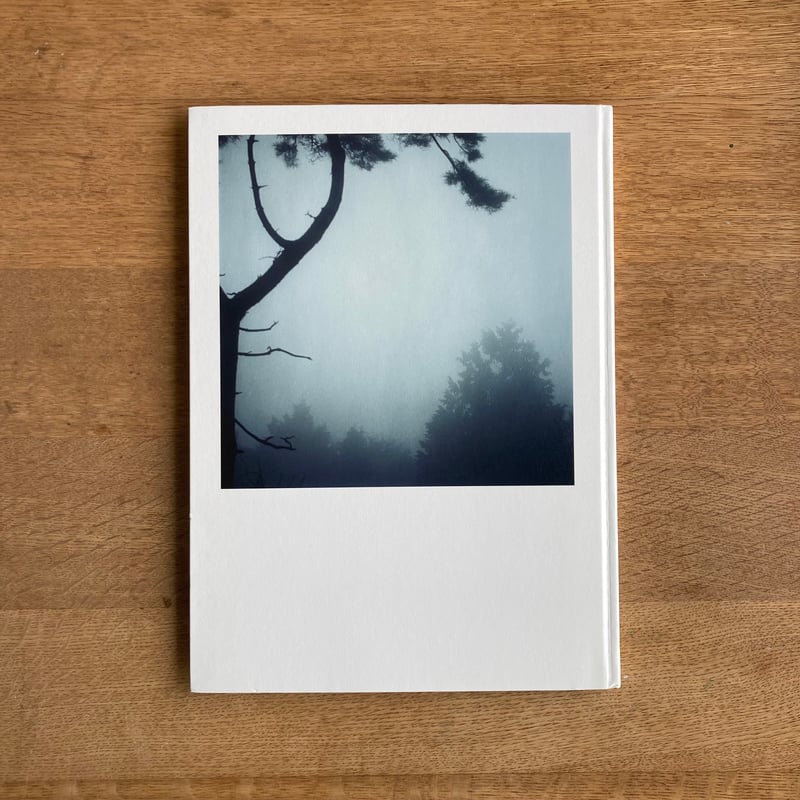 Darren Almond｜The Civil Dawns | WHITEGREEN GALLERY