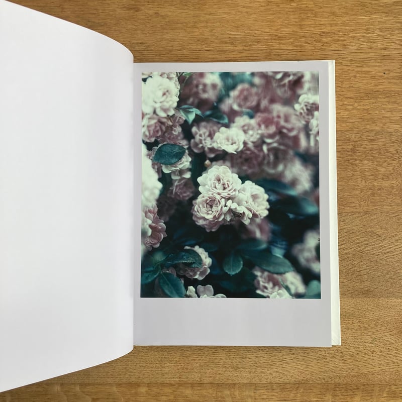 Darren Almond｜The Civil Dawns | WHITEGREEN GALLERY