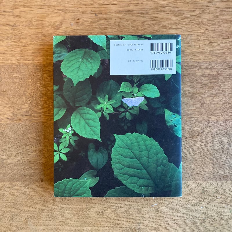 mina tabuchi｜into the forest | WHITEGREEN GALLERY