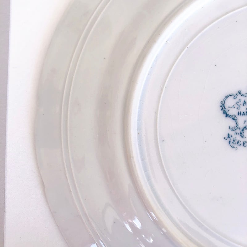 サンタマンアマージュREGENCE(レジャンス) ディナープレート B