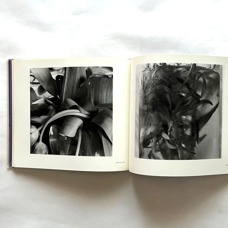 リー・フリードランダー 写真集 | 本まるさんかくしかく