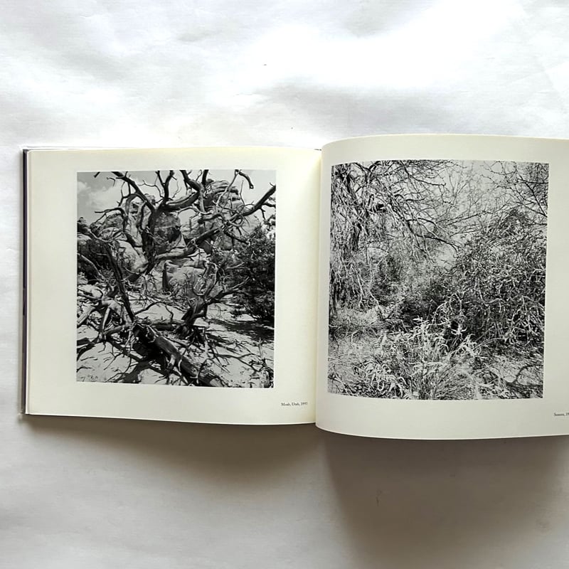 リー・フリードランダー 写真集 | 本まるさんかくしかく