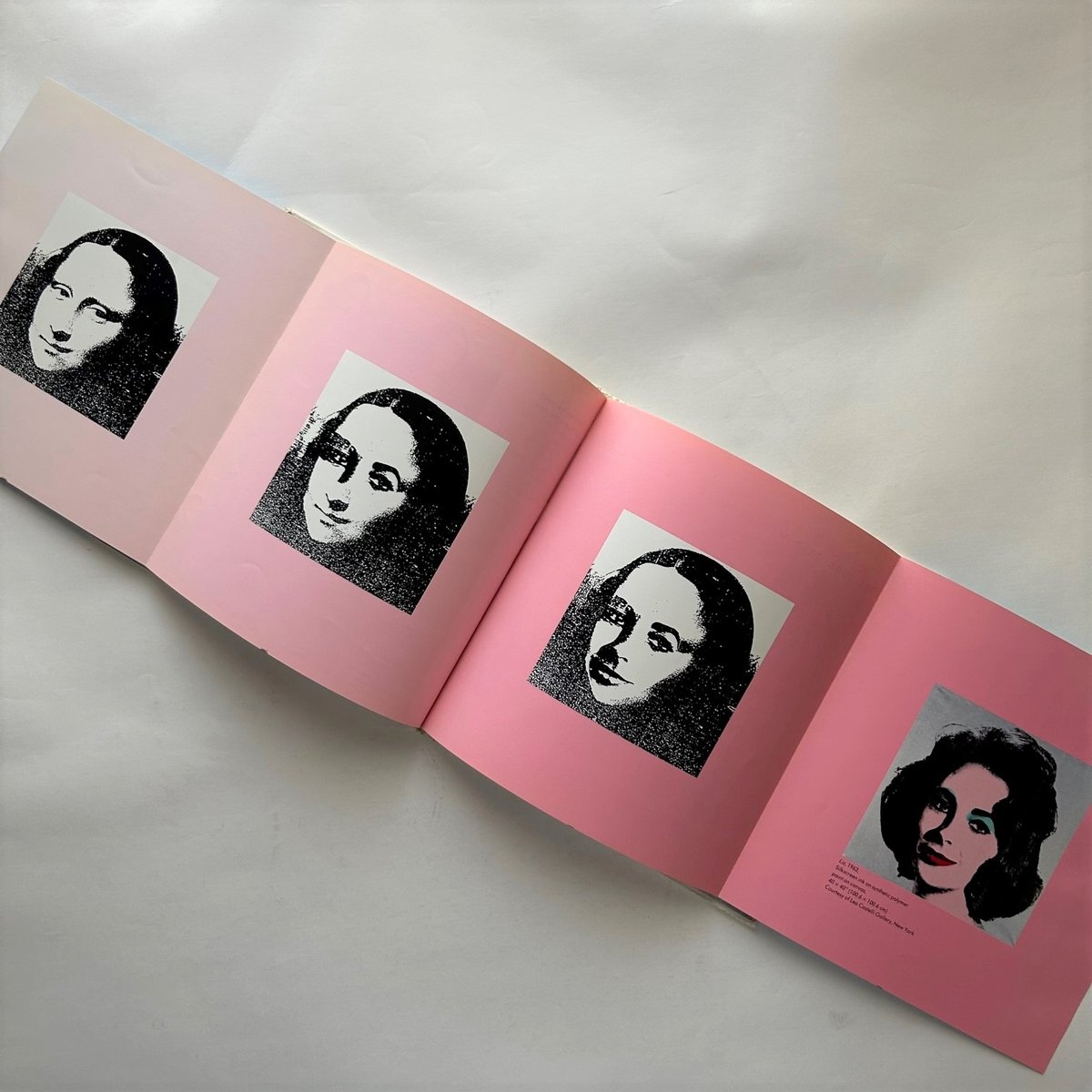 Andy Warhol アンディ・ウォーホル 古書 | 本まるさんかくしかく