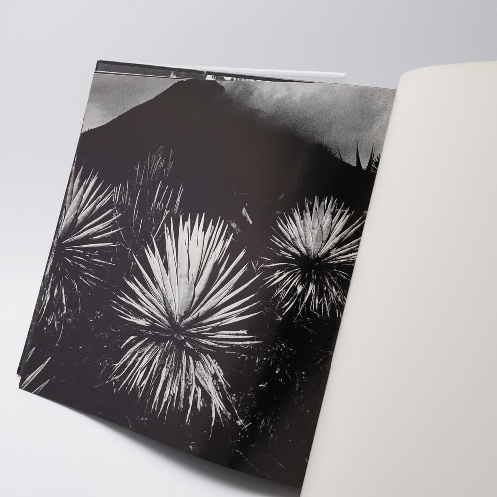 植物に 山村雅昭 PLANTS Gasho Yamamura 直筆サイン入り 植物に 山村