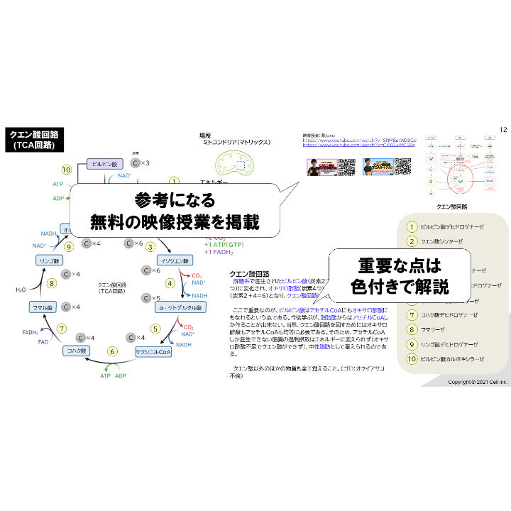 テキスト＋問題集】全単元 23章 | 医学部学士編入塾Cell