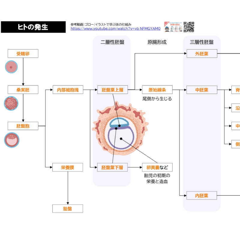 高知大学】 2026年度入試 解答解説 医学部学士編入 | 医学部学士編入塾Cell