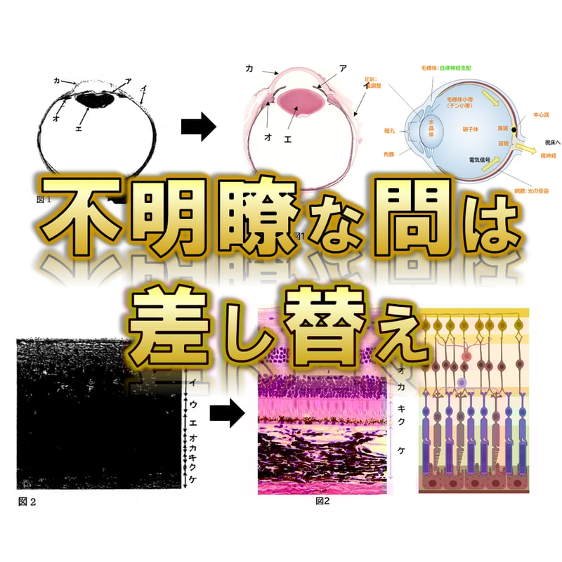 岡山大学】 2026年度入試 再現問題＋解答解説 医学部学士編入 | 医学部