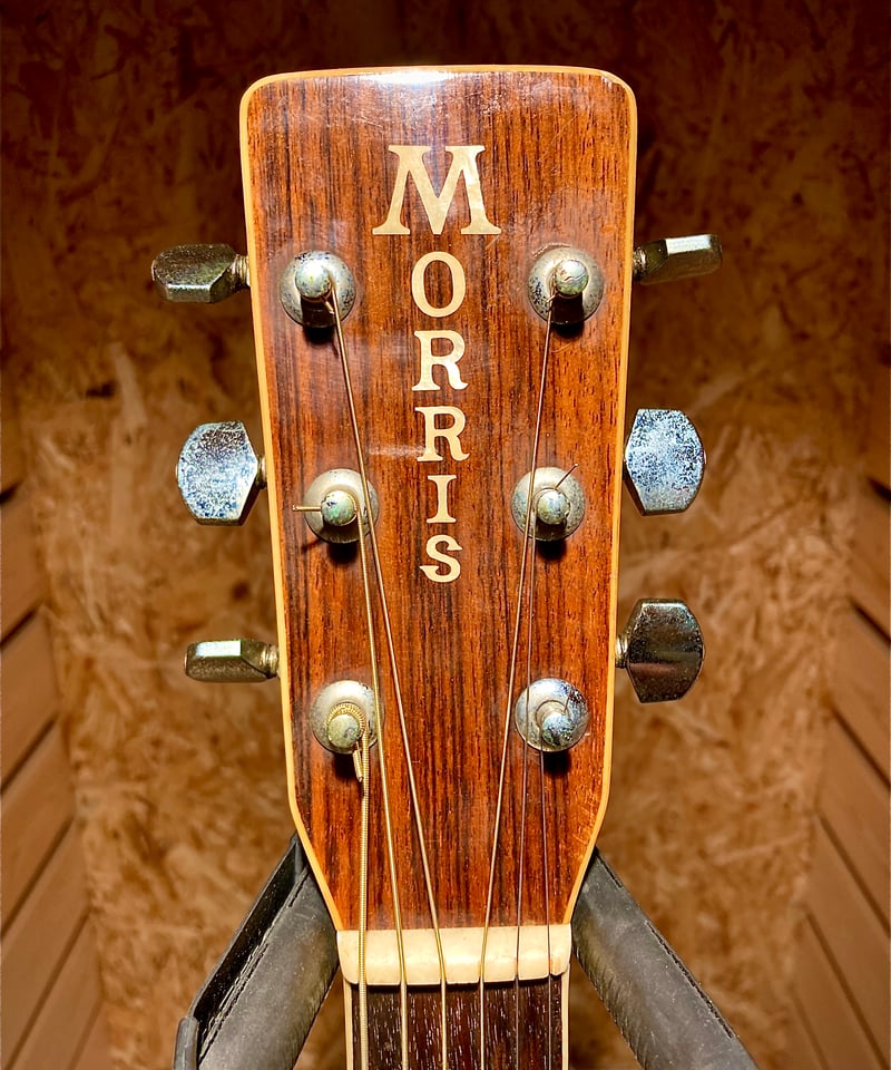 Morris W-35 | Guitarshop SOUNDNINE