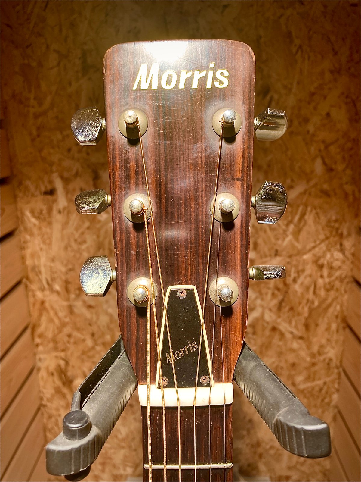 Morris F-20 | Guitarshop SOUNDNINE