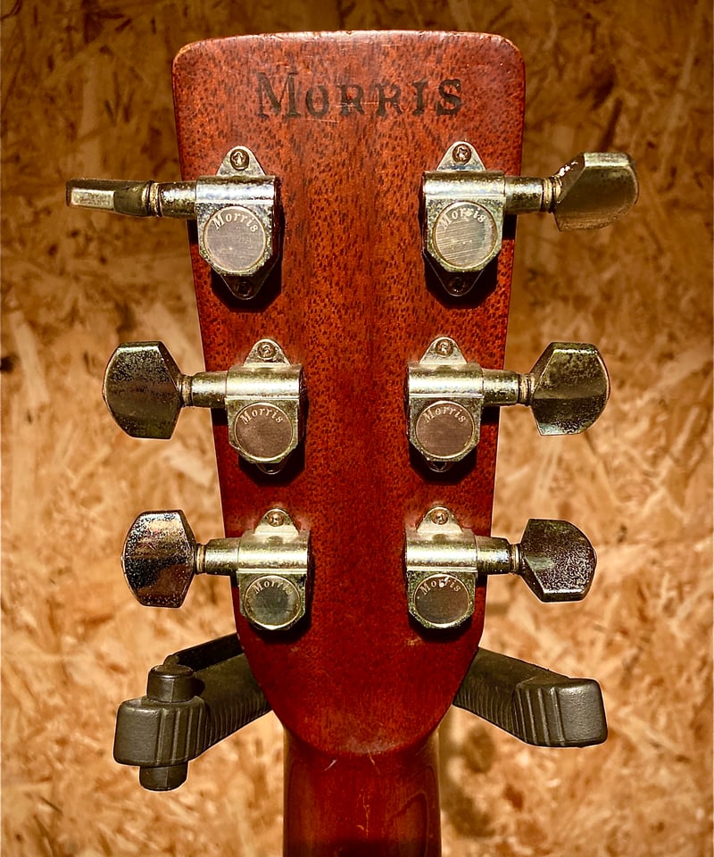 Morris W-35 | Guitarshop SOUNDNINE