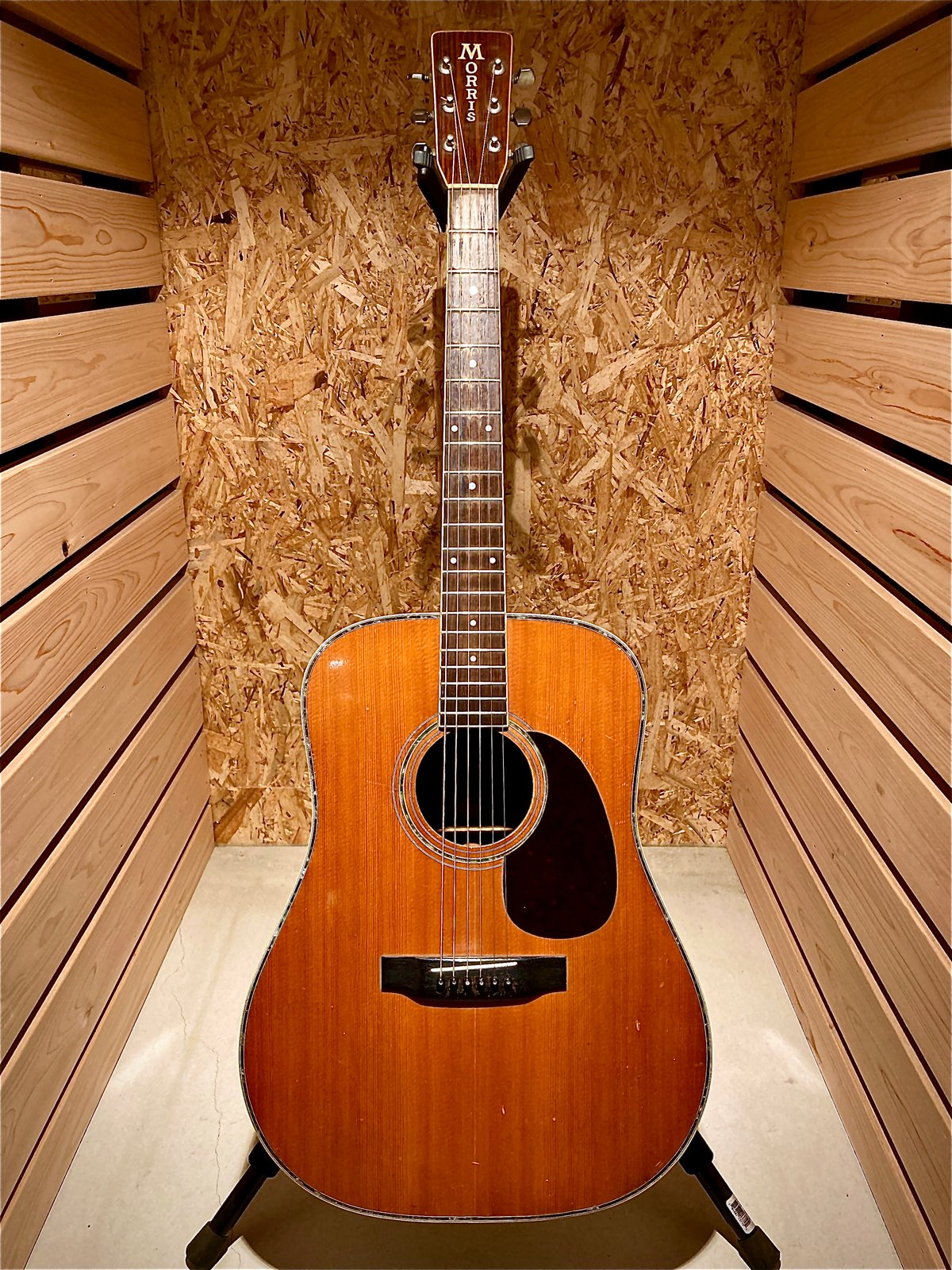 Morris W-35 | Guitarshop SOUNDNINE