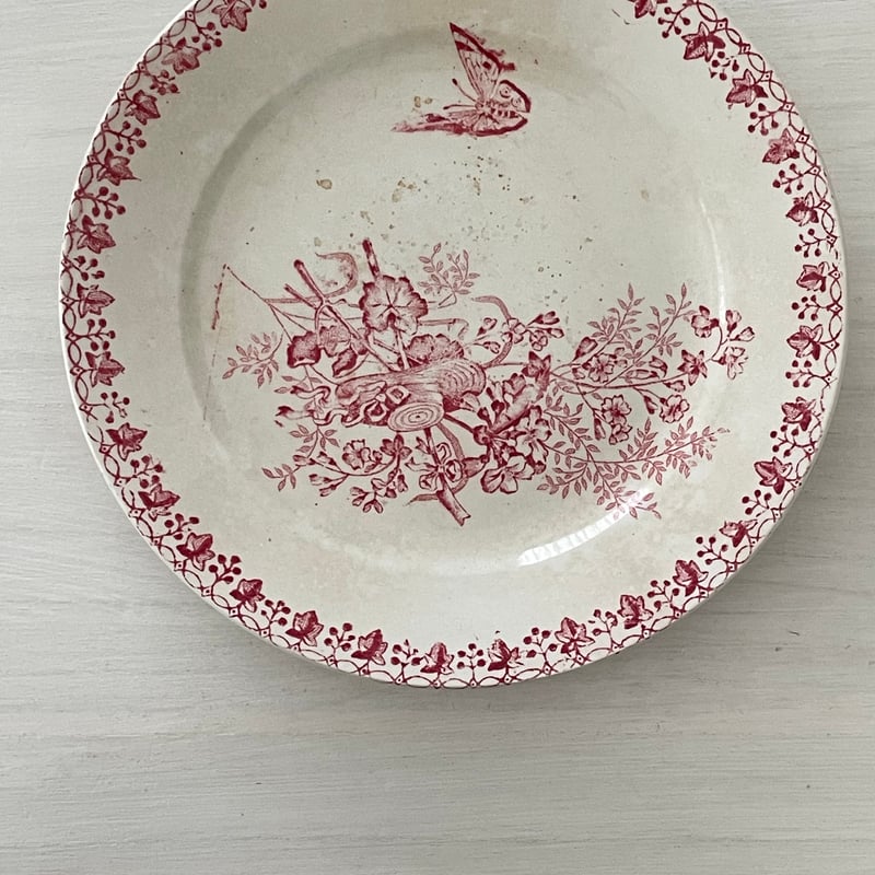 TERRE DE FERプレート【A】フランスアンティーク食器🇫🇷 | Airantiques