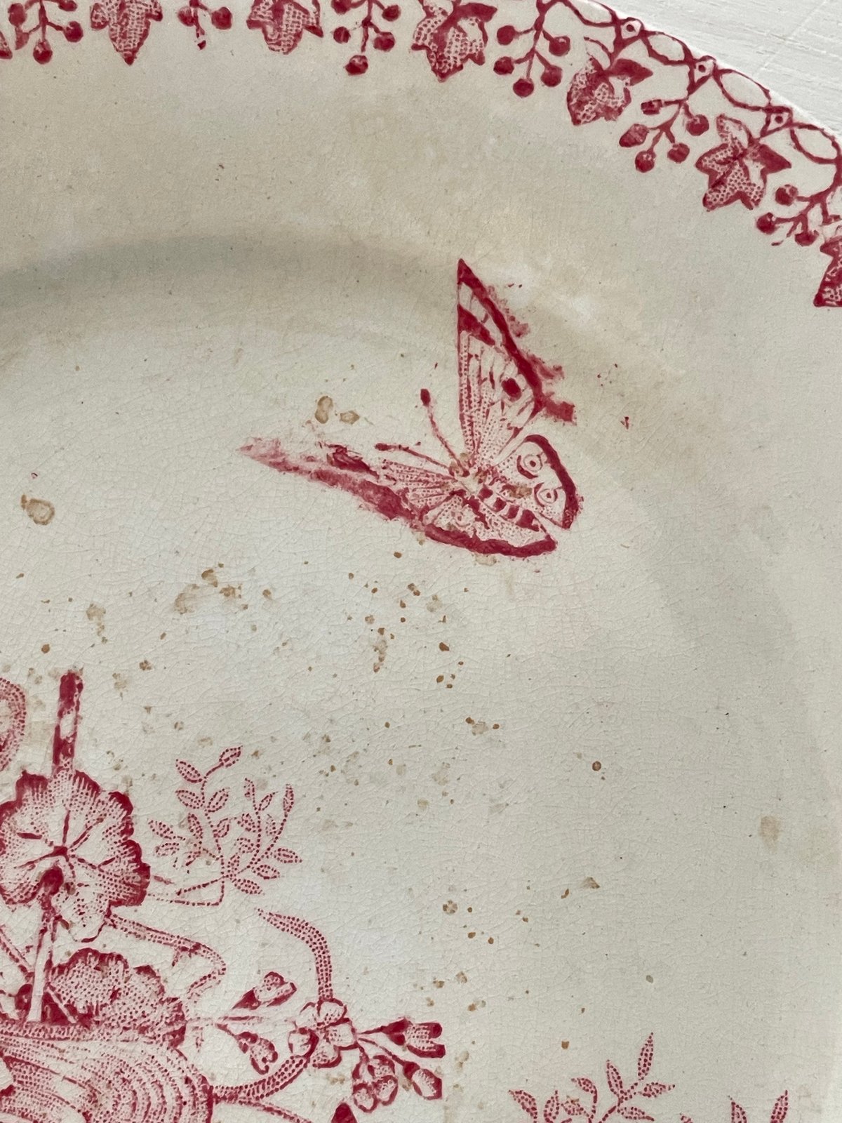 TERRE DE FERプレート【A】フランスアンティーク食器🇫🇷 | Airantiques