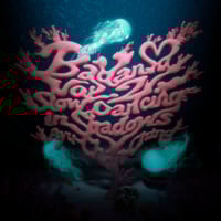 Wool & The Pants / NONCHELEEE『熱帯夜 / Shabbu Yaam