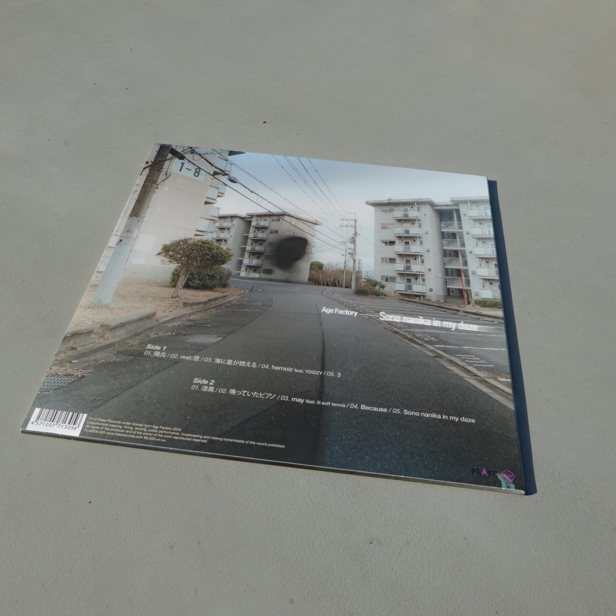 6th Album 「Sono nanika in my daze」 12inch Vinyl