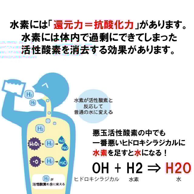 水素+酸素ダブル吸入可能』 H2RICH180+ 水素吸入器 | In Life