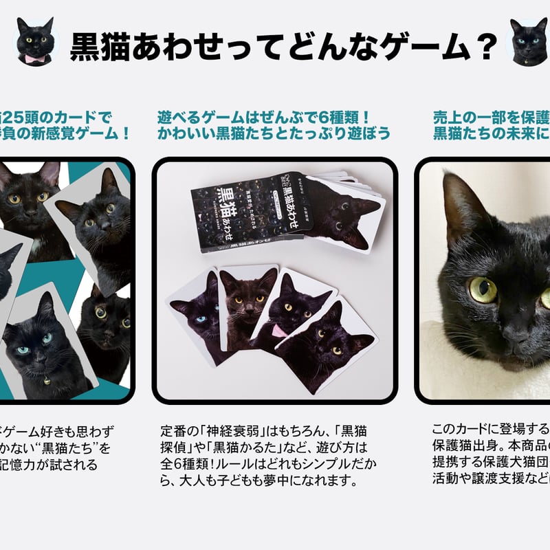 4月中旬発送分】難易度MAXのツンデレ仕様！【黒猫あわせ】 | わん