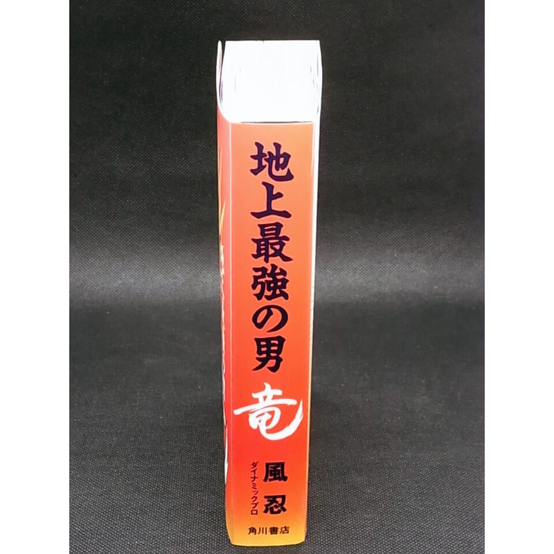 地上最強の男 竜 風忍 | レトロ・スタイル