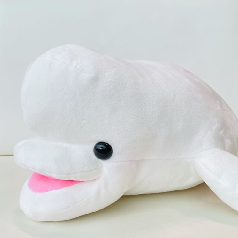 AQUASオリジナル かぷっとシロイルカ | AQUAS Gift Shop / onlin