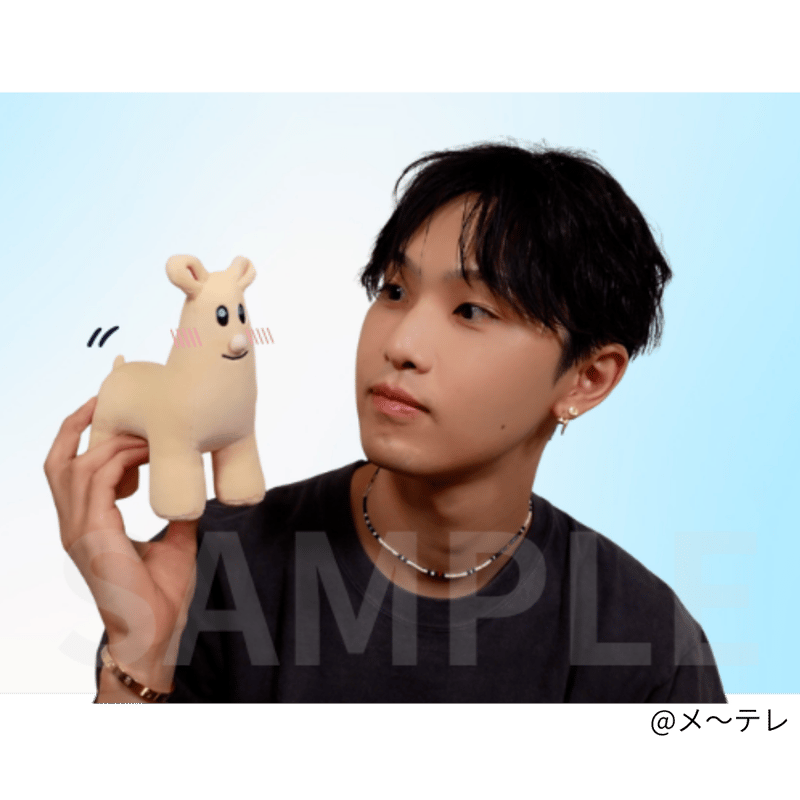 立体ホリパカぬいぐるみ | ホリナツのカンムリ（仮）グッズストア