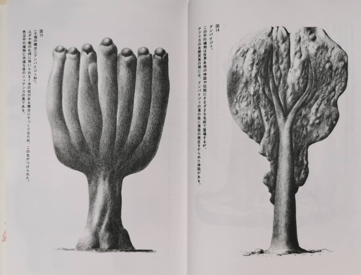 平行植物 - レオ・レオーニ | GREENTHINGS STORE and MUSIC DEPT.