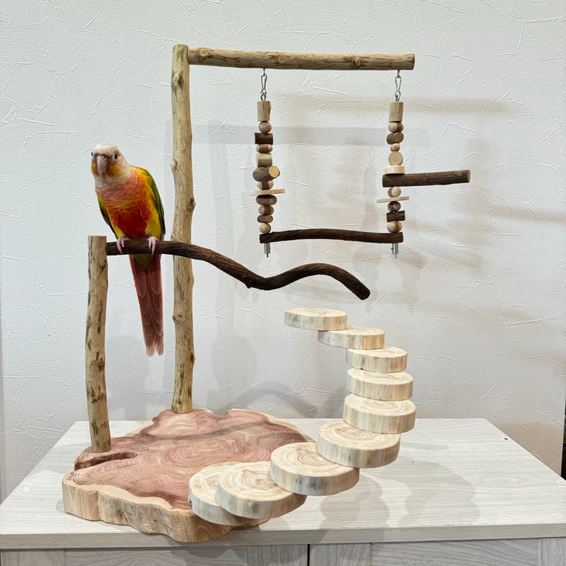螺旋階段とハイジブランコのバードアスレチック【インコのおもちゃ