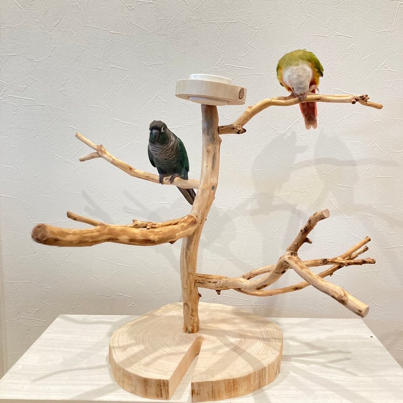 カイヅカのツリーバードアスレチック【インコのおもちゃ・自然木の